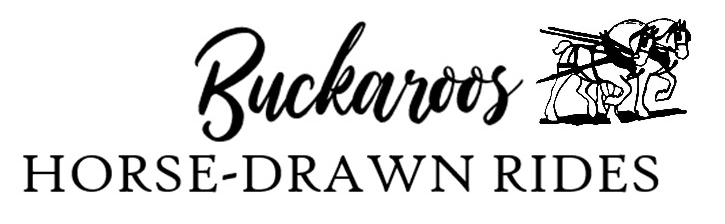 Buckaroos Horse-Drawn Rides