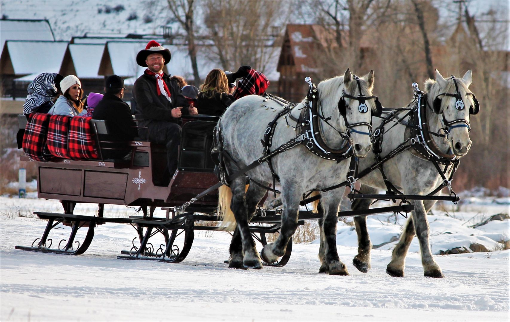 Christmas Horse And Sleigh