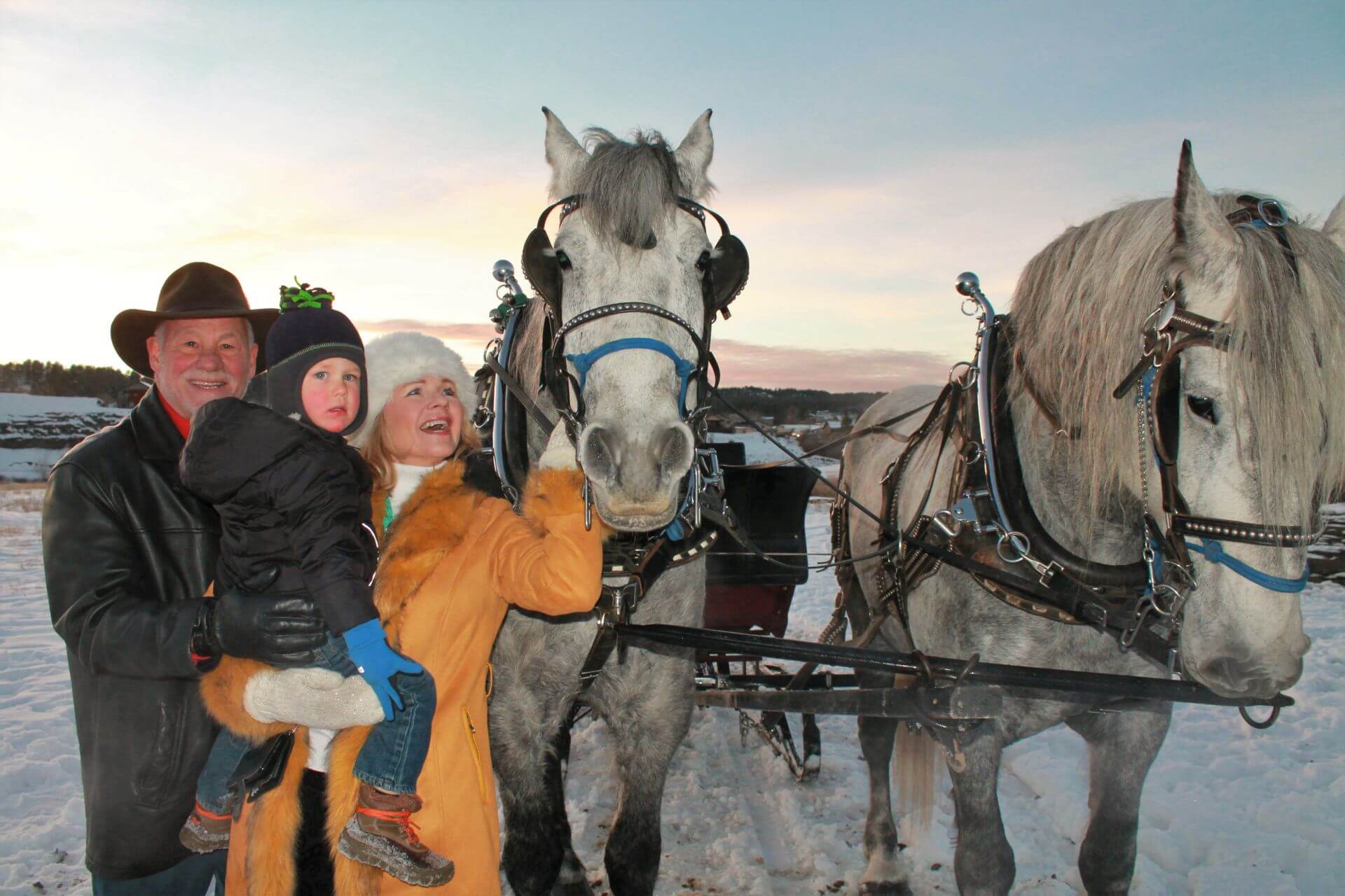 Colorado horse-drawn sleigh ride