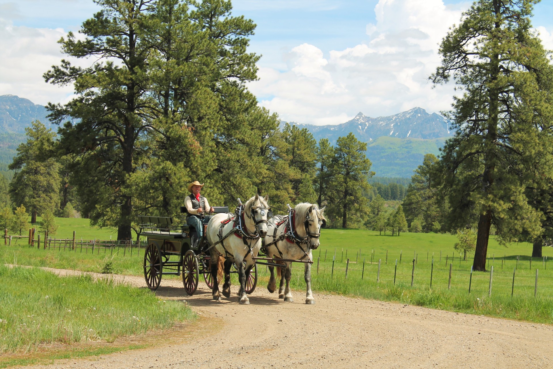 People in a private carriage ride at Pagosa Springs