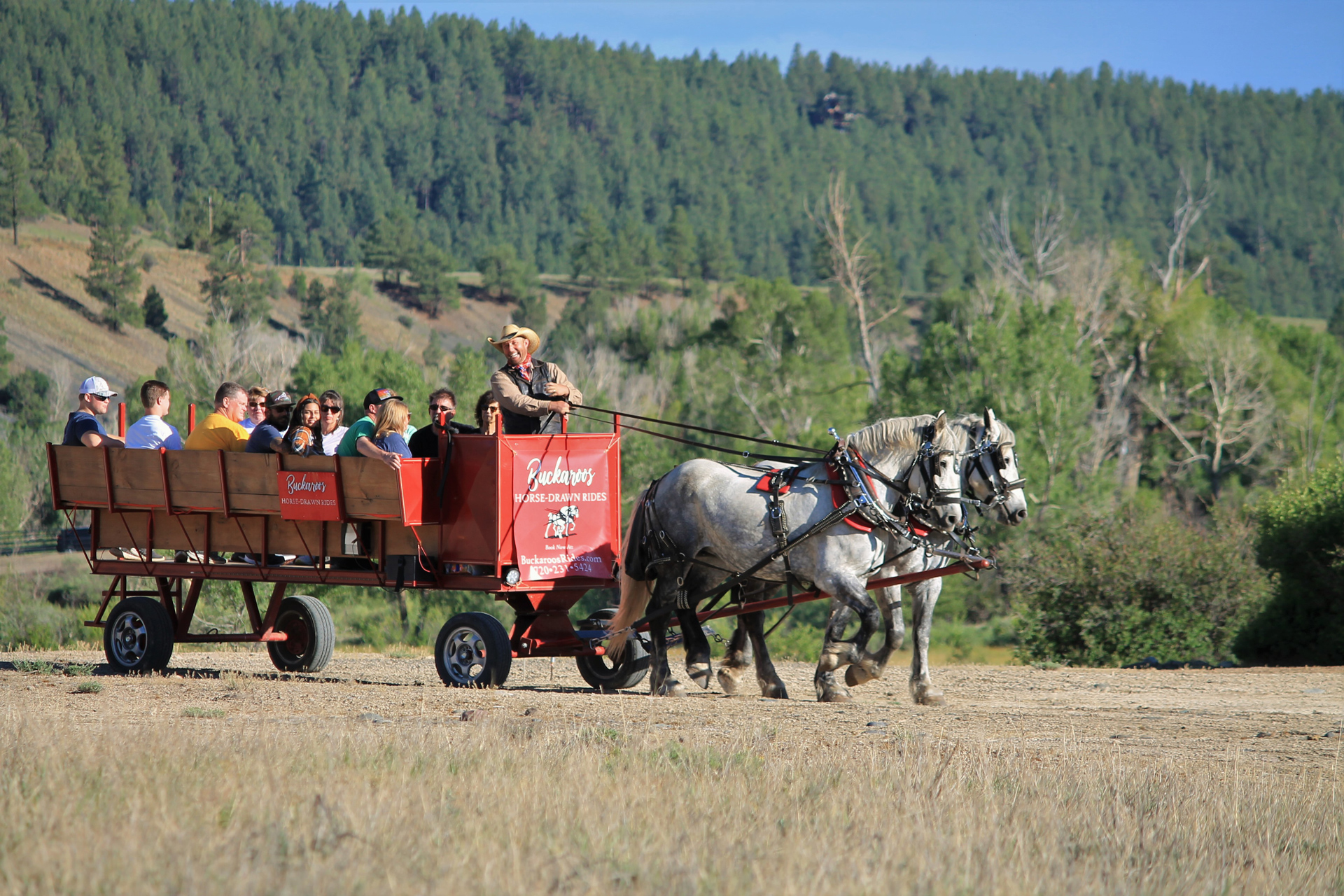 Horse wagon ride with mountains in the background